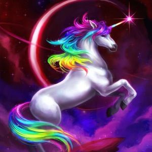 Meet your Posher, Lana